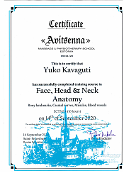 Курс по анатомии лица, головы и шейно-воротникового отдела